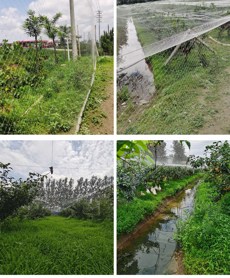 Heavy Duty Nylon Netting, Knot - огляд і ціна Fishing Equipment Net